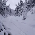 Domcek Jarka * Dedinky