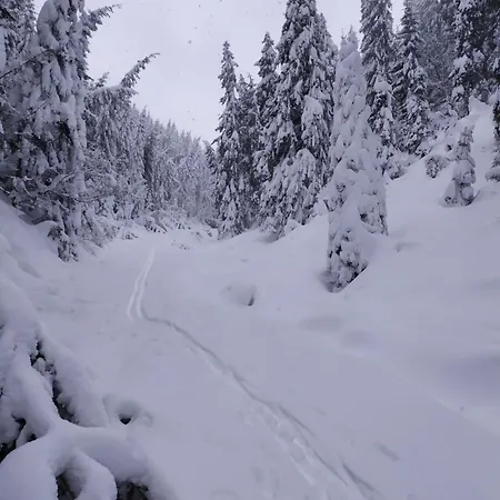 Domcek Jarka * Dedinky