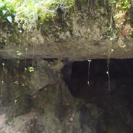 Domcek Jarka Kır Evi Dedinky